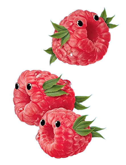 some fish made of raspberries, taken from a juice box illustration